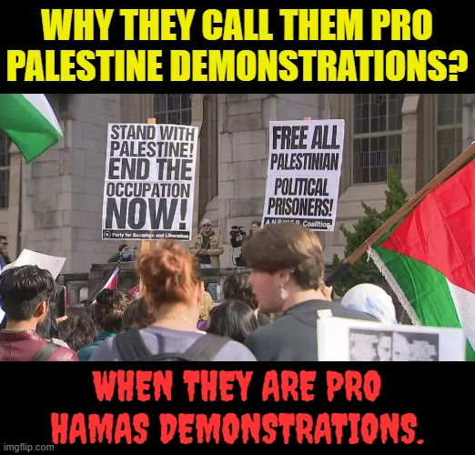 Does Anyone Have An Idea? | WHY THEY CALL THEM PRO PALESTINE DEMONSTRATIONS? WHEN THEY ARE PRO HAMAS DEMONSTRATIONS. | image tagged in memes,politics,pro,palestine,hamas,they re the same thing | made w/ Imgflip meme maker