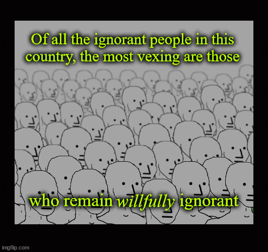 Of all the ignorant people in this  country, the most vexing are those ... | Of all the ignorant people in this 
country, the most vexing are those; who remain               ignorant; willfully | image tagged in willfull ignorance,ignorance | made w/ Imgflip meme maker