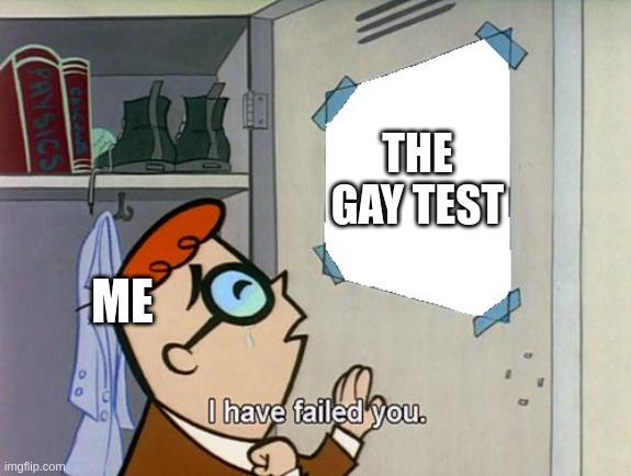 I have failed you | ME THE GAY TEST | image tagged in i have failed you | made w/ Imgflip meme maker