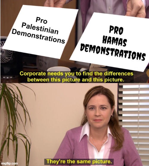 Can You Tell The Difference? | Pro Palestinian Demonstrations; Pro Hamas Demonstrations | image tagged in memes,they're the same picture,pro,palestine,hamas,protests | made w/ Imgflip meme maker