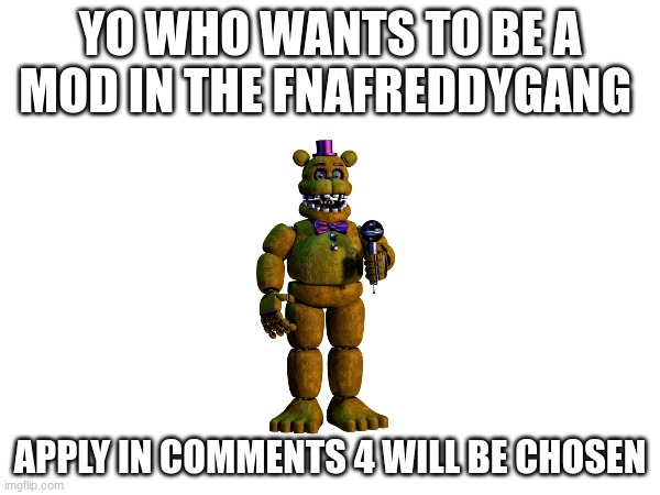 YO WHO WANTS TO BE A MOD IN OUR FNAFREDDYGANG | YO WHO WANTS TO BE A MOD IN THE FNAFREDDYGANG; APPLY IN COMMENTS 4 WILL BE CHOSEN | image tagged in fnaf,fnaflore,lol,memer,memes,memr | made w/ Imgflip meme maker