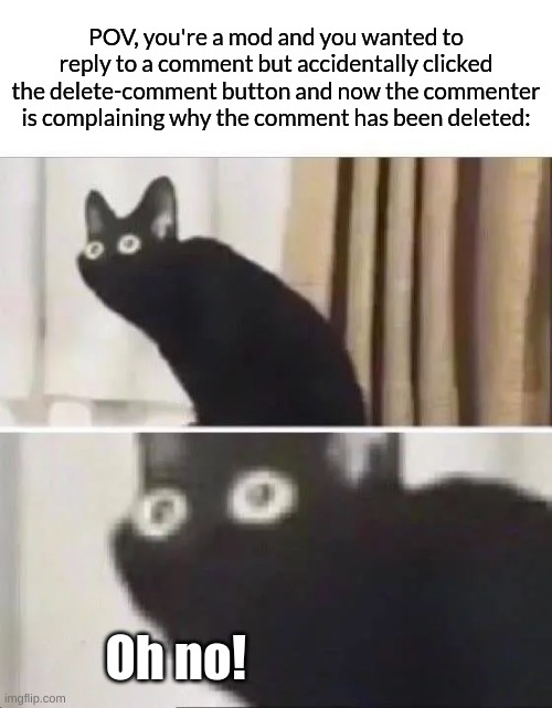 Oh No Black Cat | POV, you're a mod and you wanted to reply to a comment but accidentally clicked the delete-comment button and now the commenter is complaining why the comment has been deleted:; Oh no! | image tagged in oh no black cat,relatable memes | made w/ Imgflip meme maker