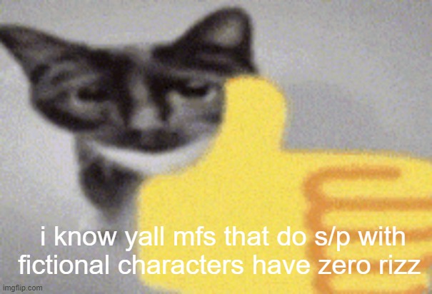 thumbs up cat | i know yall mfs that do s/p with fictional characters have zero rizz | image tagged in thumbs up cat | made w/ Imgflip meme maker