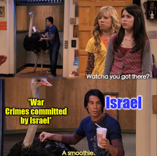 Hello International Crimes Court | *War Crimes committed by Israel*; Israel | image tagged in what you got there,israel,war crimes,palestine | made w/ Imgflip meme maker