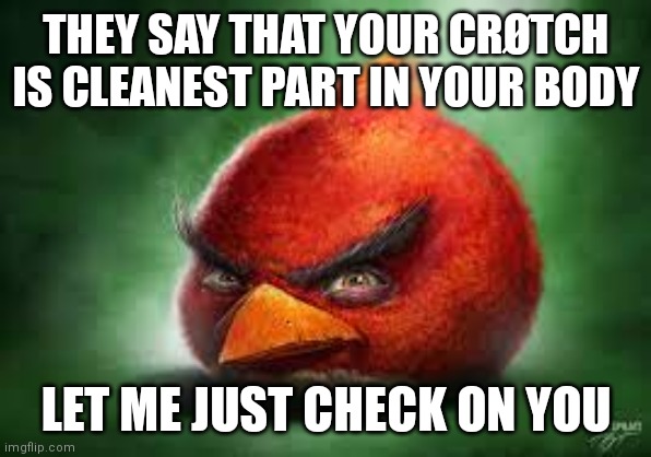 You know the rules, and so do I... | THEY SAY THAT YOUR CRØTCH IS CLEANEST PART IN YOUR BODY; LET ME JUST CHECK ON YOU | image tagged in realistic red angry birds,memes,crotch,vibe check | made w/ Imgflip meme maker