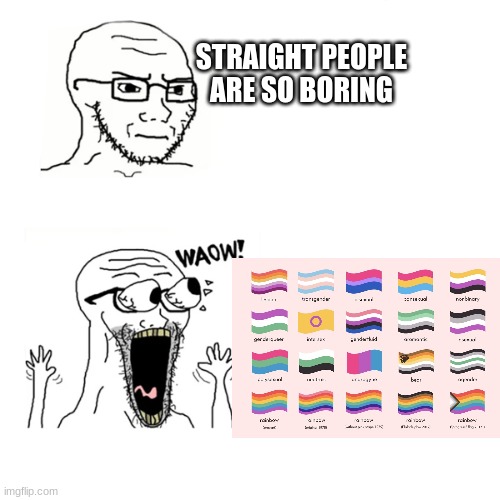 Waow Wojak | STRAIGHT PEOPLE ARE SO BORING | image tagged in waow wojak | made w/ Imgflip meme maker