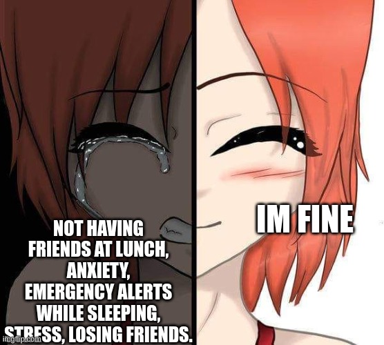 this is what I'm going through right now | NOT HAVING FRIENDS AT LUNCH, ANXIETY, EMERGENCY ALERTS WHILE SLEEPING, STRESS, LOSING FRIENDS. IM FINE | image tagged in im fine meme,meme,sad but true,about me | made w/ Imgflip meme maker