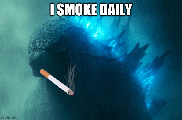 The King Disapproves | I SMOKE DAILY | image tagged in the king disapproves | made w/ Imgflip meme maker