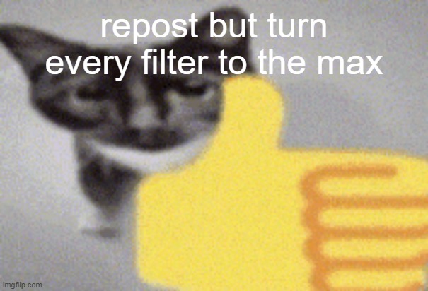 thumbs up cat | repost but turn every filter to the max | image tagged in thumbs up cat | made w/ Imgflip meme maker