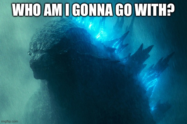 The King Disapproves | WHO AM I GONNA GO WITH? | image tagged in the king disapproves | made w/ Imgflip meme maker