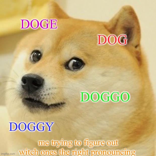 Doge | DOGE; DOG; DOGGO; DOGGY; me trying to figure out witch ones the right pronouncing | image tagged in memes,doge | made w/ Imgflip meme maker