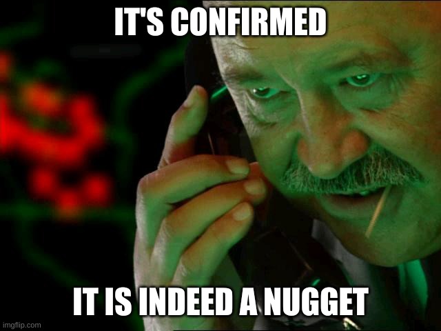 Confirmed | IT'S CONFIRMED IT IS INDEED A NUGGET | image tagged in confirmed | made w/ Imgflip meme maker