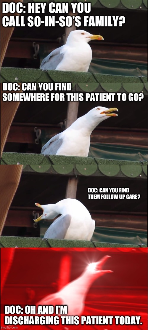 Hospital care coordinator | DOC: HEY CAN YOU CALL SO-IN-SO’S FAMILY? DOC: CAN YOU FIND SOMEWHERE FOR THIS PATIENT TO GO? DOC: CAN YOU FIND THEM FOLLOW UP CARE? DOC: OH AND I’M DISCHARGING THIS PATIENT TODAY. | image tagged in memes,inhaling seagull | made w/ Imgflip meme maker