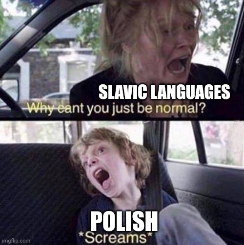 Why | SLAVIC LANGUAGES; POLISH | image tagged in why can't you just be normal | made w/ Imgflip meme maker