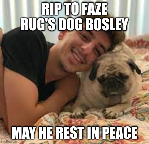 rip king bosley :( | RIP TO FAZE RUG'S DOG BOSLEY; MAY HE REST IN PEACE | image tagged in memes,fyp,dog,youtube,upvotes | made w/ Imgflip meme maker