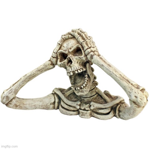 Shrieking Skeleton | image tagged in shrieking skeleton | made w/ Imgflip meme maker