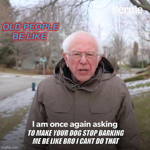 Bernie I Am Once Again Asking For Your Support | OLD PEOPLE BE LIKE; TO MAKE YOUR DOG STOP BARKING
ME BE LIKE BRO I CANT DO THAT | image tagged in memes,bernie i am once again asking for your support | made w/ Imgflip meme maker