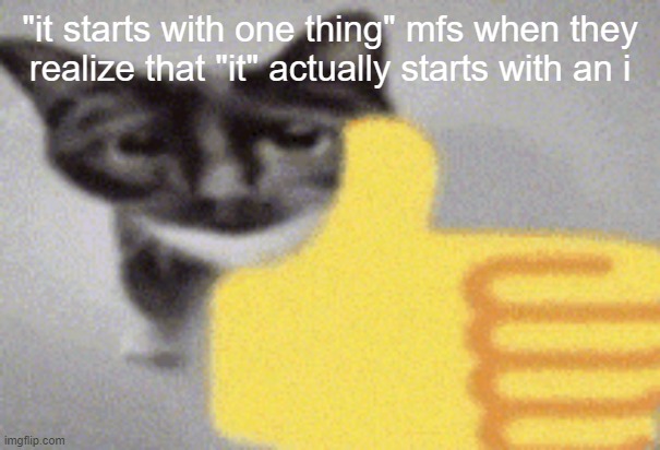 thumbs up cat | "it starts with one thing" mfs when they realize that "it" actually starts with an i | image tagged in thumbs up cat | made w/ Imgflip meme maker