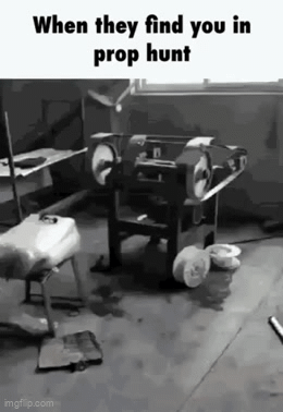 Animated GIF - Imgflip