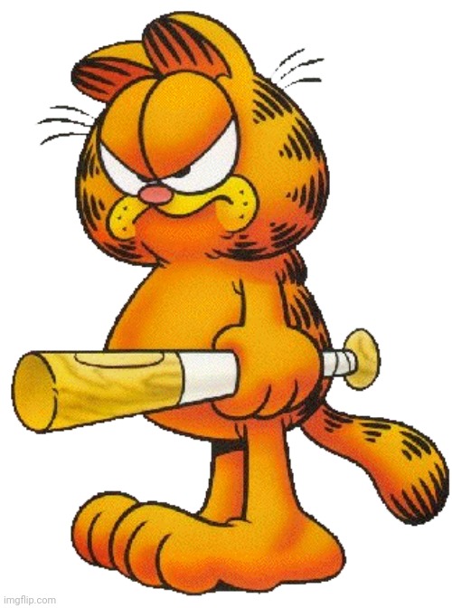 Garfield with a baseball bat | image tagged in garfield with a baseball bat | made w/ Imgflip meme maker