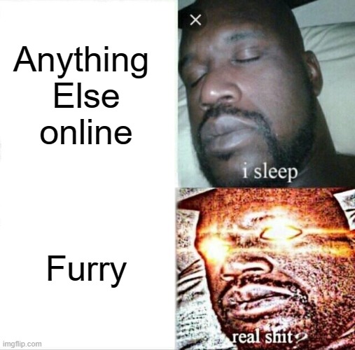 Antifur | Anything 
Else online; Furry | image tagged in memes,sleeping shaq,furry,anti furry,anti furry meme | made w/ Imgflip meme maker