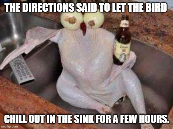 meme by Brad let the turkey chill out | THE DIRECTIONS SAID TO LET THE BIRD; CHILL OUT IN THE SINK FOR A FEW HOURS. | image tagged in thanksgiving | made w/ Imgflip meme maker