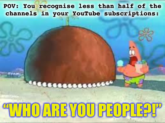 WHO ARE YOU PEOPLE? | POV: You recognise less than half of the
channels in your YouTube subscriptions:; “WHO ARE YOU PEOPLE?!” | image tagged in who are you people,suprised patrick,patrick star,youtube,subscribe,internet | made w/ Imgflip meme maker