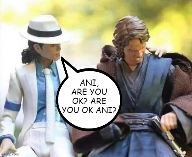 Smooth Sith | ANI, ARE YOU OK? ARE YOU OK ANI? | image tagged in star wars,anakin | made w/ Imgflip meme maker