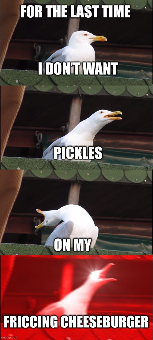 I DONT WANT IT | FOR THE LAST TIME; I DON’T WANT; PICKLES; ON MY; FRICCING CHEESEBURGER | image tagged in memes,inhaling seagull | made w/ Imgflip meme maker