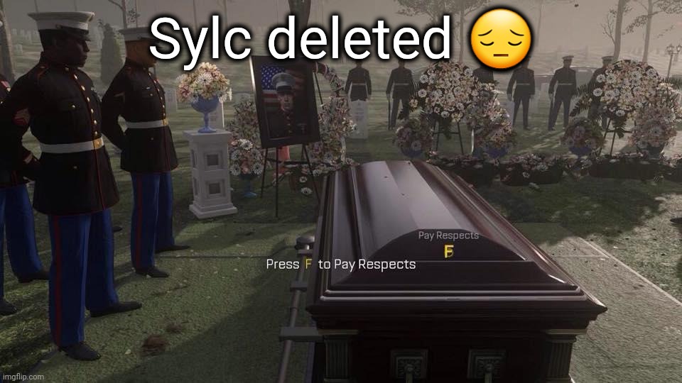 I was having a great day until I found out about this | Sylc deleted 😔 | image tagged in press f to pay respects,my dissapointment is immeasurable and my day is ruined | made w/ Imgflip meme maker