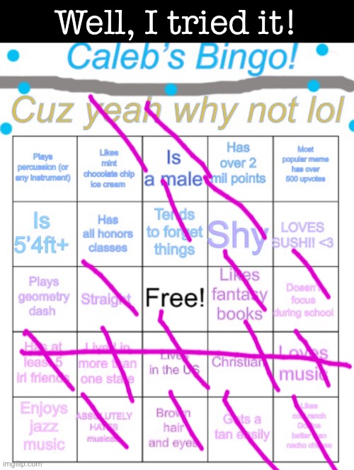 Caleb’s bingo | Well, I tried it! | image tagged in caleb s bingo | made w/ Imgflip meme maker