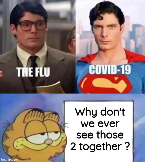 Look , up in the sky . . . | Why don't we ever see those 2 together ? | image tagged in garfield looking at the sign,superman,secret identity,you can't handle the truth,they're the same picture | made w/ Imgflip meme maker