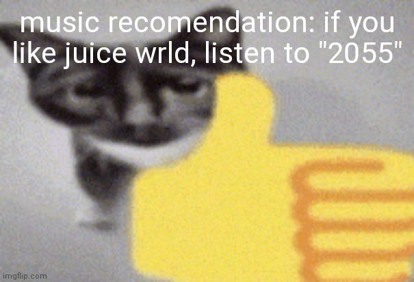 thumbs up cat | music recomendation: if you like juice wrld, listen to "2055" | image tagged in thumbs up cat | made w/ Imgflip meme maker