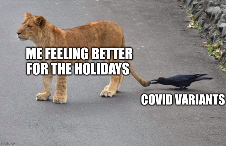 COVID Turkey | ME FEELING BETTER FOR THE HOLIDAYS; COVID VARIANTS | image tagged in covid,holidays,turkey,christmas,sick | made w/ Imgflip meme maker