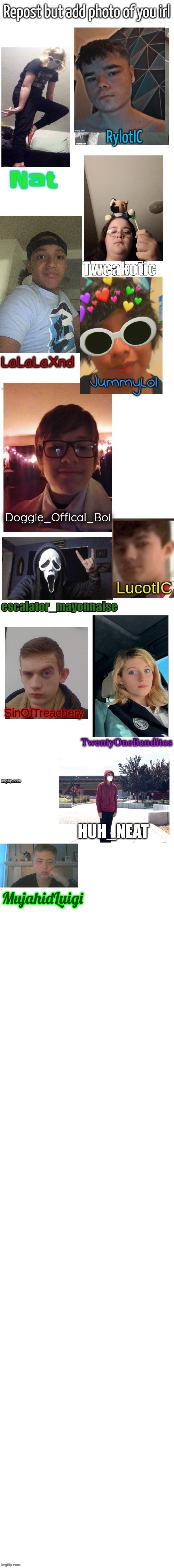 MujahidLuigi | made w/ Imgflip meme maker