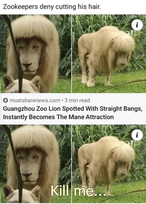 Kill me... | image tagged in funny,funny animals | made w/ Imgflip meme maker