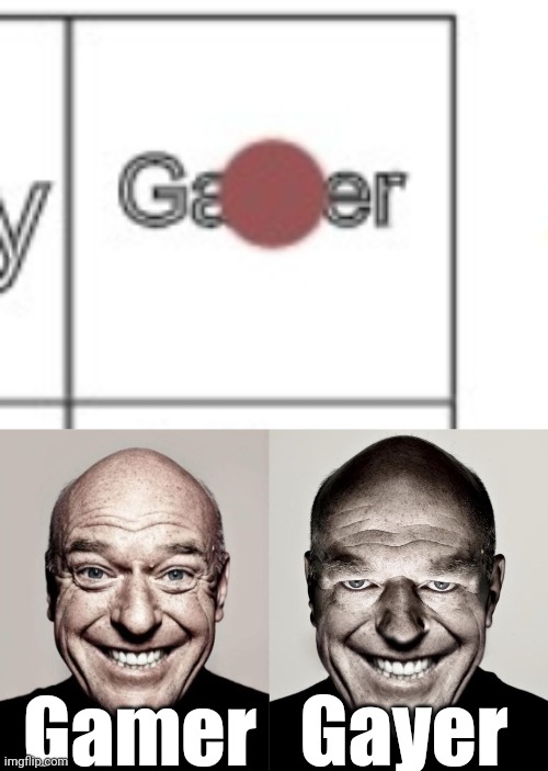 Which one... | Gamer; Gayer | image tagged in hank breaking bad,creepy hank smiling | made w/ Imgflip meme maker