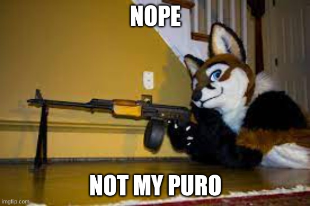 foxy AK-47 | NOPE NOT MY PURO | image tagged in foxy ak-47 | made w/ Imgflip meme maker