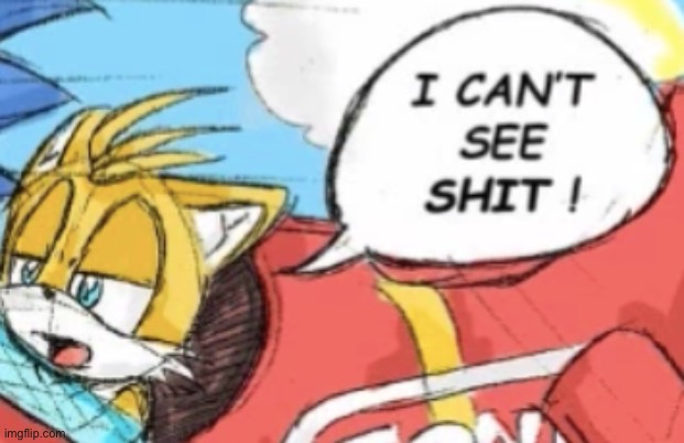 I can't see shit tails | image tagged in i can't see shit tails | made w/ Imgflip meme maker