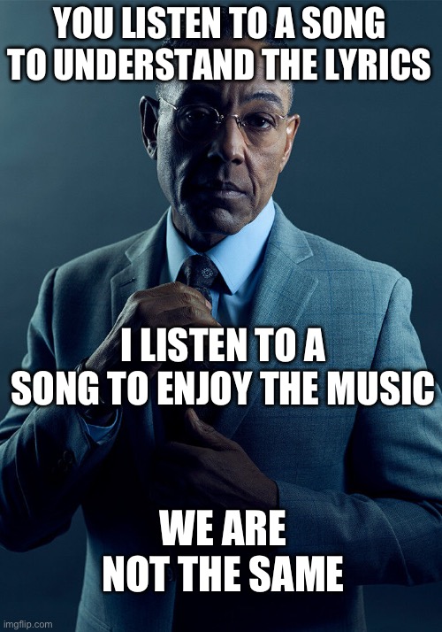 Interesting title idk | YOU LISTEN TO A SONG TO UNDERSTAND THE LYRICS; I LISTEN TO A SONG TO ENJOY THE MUSIC; WE ARE NOT THE SAME | image tagged in gus fring we are not the same,memes,music | made w/ Imgflip meme maker
