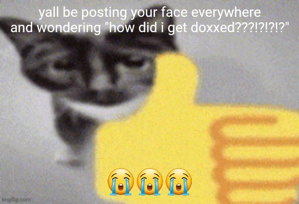 thumbs up cat | yall be posting your face everywhere and wondering "how did i get doxxed???!?!?!?"; 😭😭😭 | image tagged in thumbs up cat | made w/ Imgflip meme maker