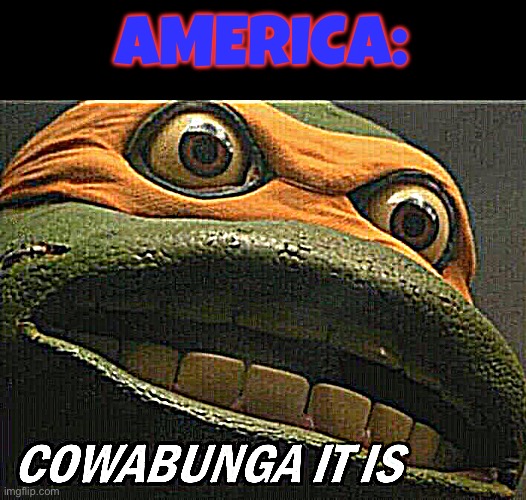 Cowabunga it is | AMERICA: | image tagged in cowabunga it is | made w/ Imgflip meme maker