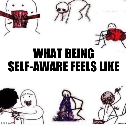 Girls when | WHAT BEING SELF-AWARE FEELS LIKE | image tagged in girls when | made w/ Imgflip meme maker