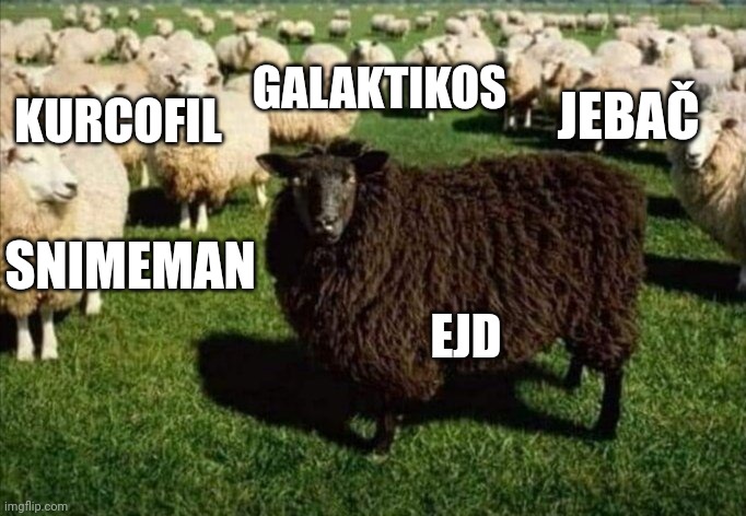 KURCOFIL; GALAKTIKOS; JEBAČ; SNIMEMAN; EJD | made w/ Imgflip meme maker