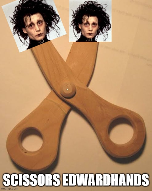 Wood scissor | LYLE; SCISSORS EDWARDHANDS | image tagged in wood scissor | made w/ Imgflip meme maker