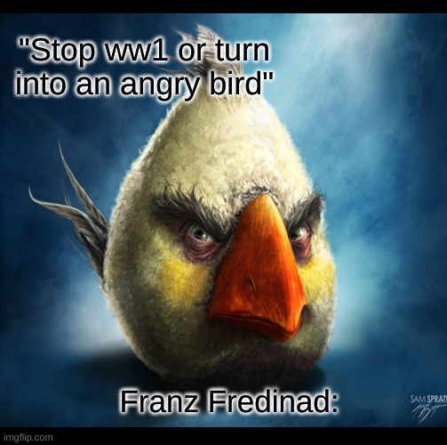 Realistic Angry Bird Maltida ww1 | "Stop ww1 or turn into an angry bird"; Franz Fredinad: | image tagged in history memes,ww1,angry birds | made w/ Imgflip meme maker