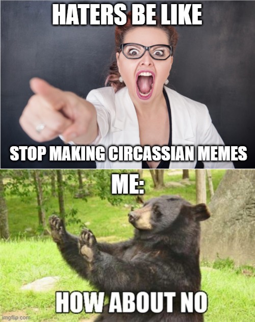 How about go and make me. | HATERS BE LIKE; STOP MAKING CIRCASSIAN MEMES; ME: | image tagged in angry karen,memes,how about no bear,funny memes,funny | made w/ Imgflip meme maker