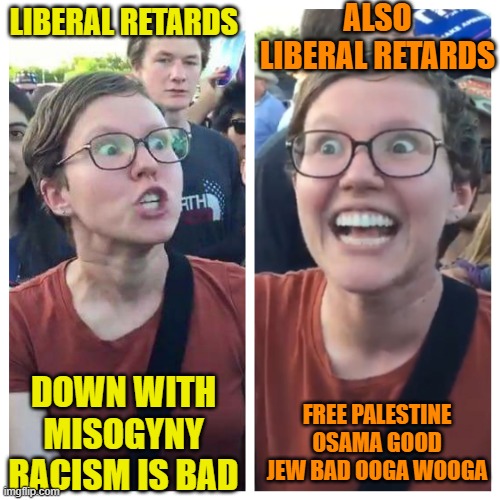 Retarded Hypocrite Liberals | ALSO LIBERAL RETARDS; LIBERAL RETARDS; FREE PALESTINE OSAMA GOOD JEW BAD OOGA WOOGA; DOWN WITH MISOGYNY RACISM IS BAD | image tagged in social justice warrior hypocrisy,politics,funny,memes,stupid people | made w/ Imgflip meme maker