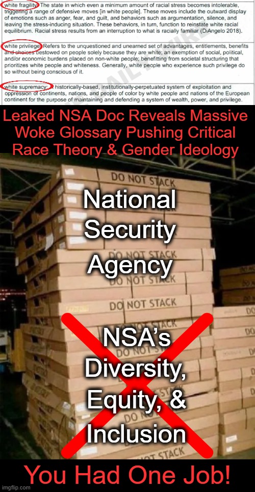 The NSA's mission is to monitor threats both foreign & domestic, NOT create woke glossaries. | Leaked NSA Doc Reveals Massive 
Woke Glossary Pushing Critical 
Race Theory & Gender Ideology; National; Security; Agency; NSA’s; Diversity, Equity, &; Inclusion; You Had One Job! | image tagged in politics,national security,nsa,woke,political humor,you had one job | made w/ Imgflip meme maker