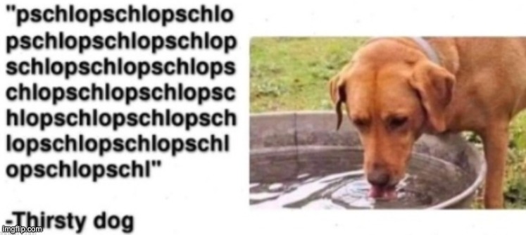 -thirsty dog | image tagged in -thirsty dog | made w/ Imgflip meme maker